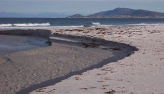 Douglas River Cabin - Mackay Tourism 3