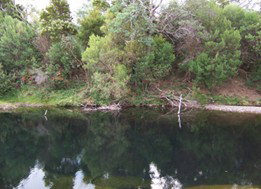 Douglas River Cabin - Mackay Tourism 4