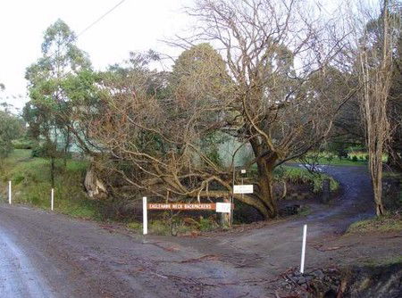 Eaglehawk Neck Backpackers - Mackay Tourism 1