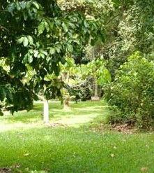 Kingfisher Park Birdwatchers Lodge - Mackay Tourism 0