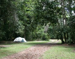 Kingfisher Park Birdwatchers Lodge - Mackay Tourism 5