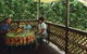 Chambers Wildlife Rainforest Lodges - thumb 4