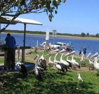 Mountain View Caravan and Mobile Home Village - Mackay Tourism