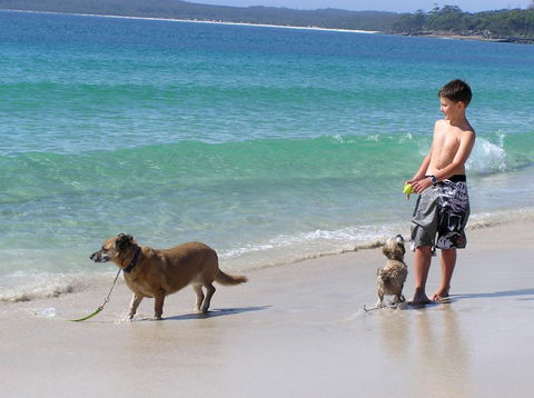 A Paradise Bungalow Waterfront - Mackay Tourism 1