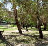 Woods Reserve - Mackay Tourism