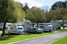 Pleasurelea Tourist Resort And Caravan Park - Mackay Tourism 1