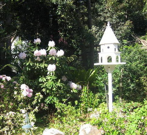 Bellawongarah At Berry - Mackay Tourism 5
