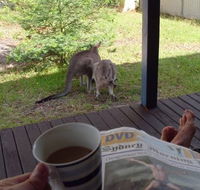 Bush and Bay Cottage - Mackay Tourism