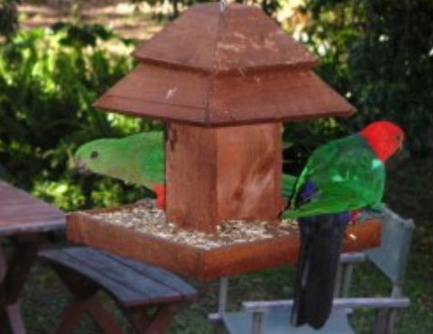 Chauvel Park B And B - Mackay Tourism 2