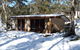 Snowy Wilderness Resort - thumb 3