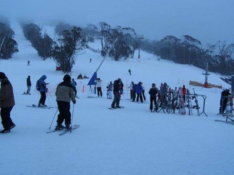 Black Bear Inn - Mackay Tourism 1
