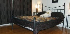 Artisans ...on The Hill Bed And Breakfast - Mackay Tourism 2