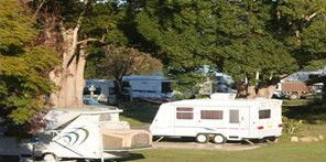 Bellinger River Tourist Park - Mackay Tourism 3