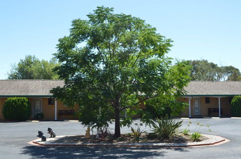 Hilltops Retreat Motor Inn - Mackay Tourism 6
