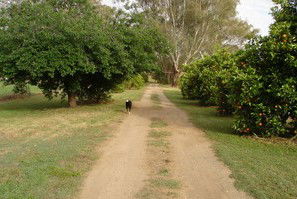 Murray Bank Holiday Units And Yabby Farm - Mackay Tourism 5