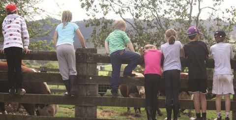Ashmar Farm Stay - Mackay Tourism 4