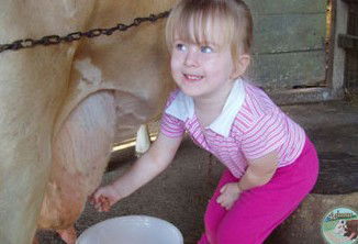 Ashmar Farm Stay - Mackay Tourism 5