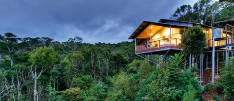 OReillys Mountain Villas - Mackay Tourism 1