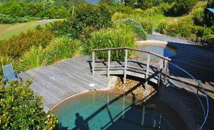 OReillys Rainforest Retreat - Mackay Tourism 4