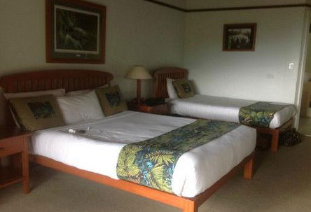 OReillys Rainforest Retreat - Mackay Tourism 5