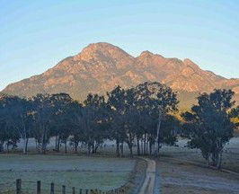 Barney Creek Vineyard Cottages - Mackay Tourism 5