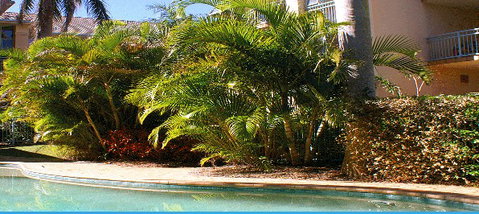 Golden Sea Apartments - Mackay Tourism 4