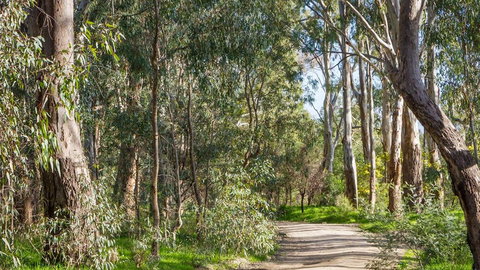 Time Out Holiday Park - Mackay Tourism 1