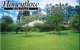 Honeyflow Homestead - thumb 0