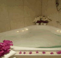 Swan Valley Oasis Resort - Mackay Tourism