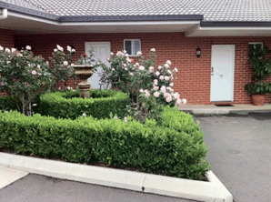 Akuna Motor Inn - Mackay Tourism 4