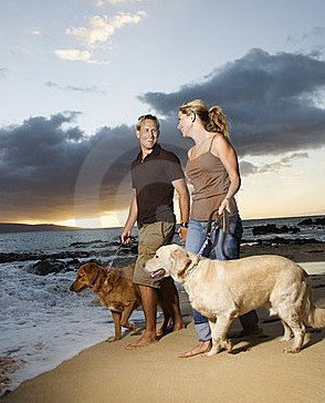 Four Seasons Holiday Park - Mackay Tourism 3