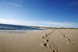Kalbarri Palm Resort - Mackay Tourism 4