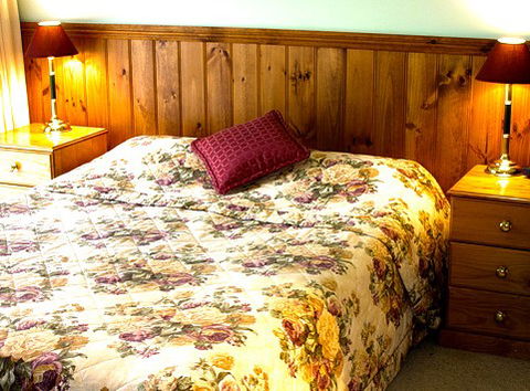Mountain View Motor Inn And Holiday Lodges - Mackay Tourism 1