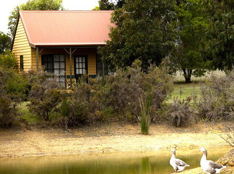 Mountain View Motor Inn And Holiday Lodges - Mackay Tourism 2