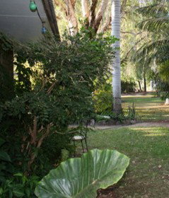 Douglas Daly Holiday Park - Mackay Tourism 1