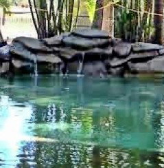 Douglas Daly Holiday Park - Mackay Tourism 2