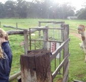 Boronia Farm Farmstay - Mackay Tourism