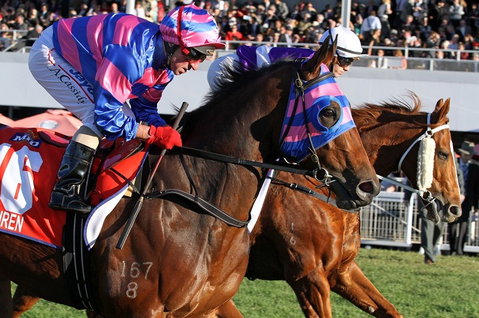 Quest Ascot - Mackay Tourism 4