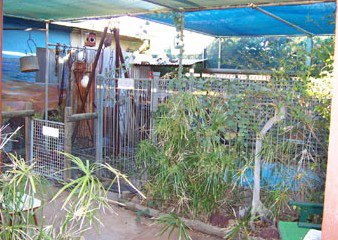 Safari Lodge Motel - Mackay Tourism 1