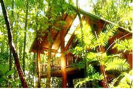 Malanda QLD Mackay Tourism