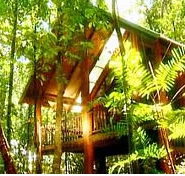 The Canopy Treehouses - Mackay Tourism
