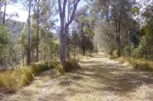Toms Creek Retreat - Mackay Tourism 1