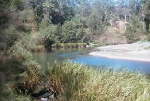 Toms Creek Retreat - Mackay Tourism 4