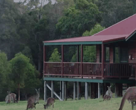  Mackay Tourism