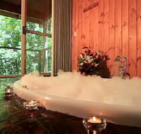 Tree Houses Of Montville - Mackay Tourism
