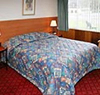 Mt Lyell Motor Inn - Mackay Tourism