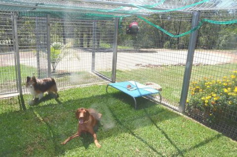 Wingham Pet Motel - Mackay Tourism 1