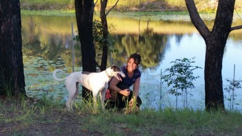Wingham Pet Motel - Mackay Tourism 2
