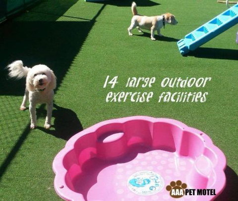 AAA Pet Motel - Mackay Tourism 2