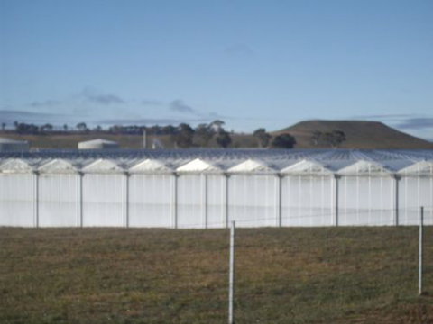 Guyra Motor INN - Mackay Tourism 7